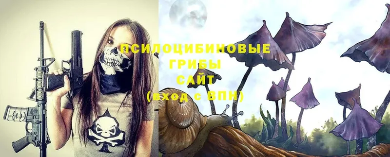 Псилоцибиновые грибы Magic Shrooms  kraken ССЫЛКА  Дегтярск 